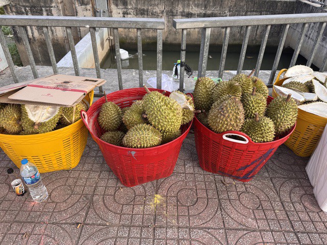 Sầu riêng 80.000 đồng/kg là hàng dạt