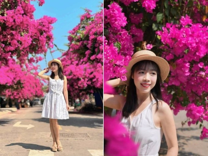 Bạn Trần Hải Yến tạo dáng chụp ảnh trên con đường hoa giấy ở làng chài Vĩnh Trường. Ảnh: NVCC