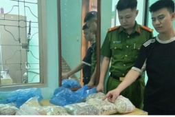 Quảng Ninh: Phát hiện, thu giữ gần 2 tấn giá đỗ chứa chất cấm