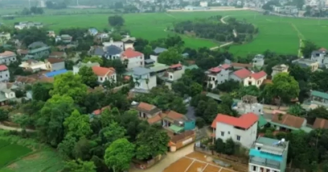 Hà Nội: Cảnh báo thông tin sai lệch để thổi giá...