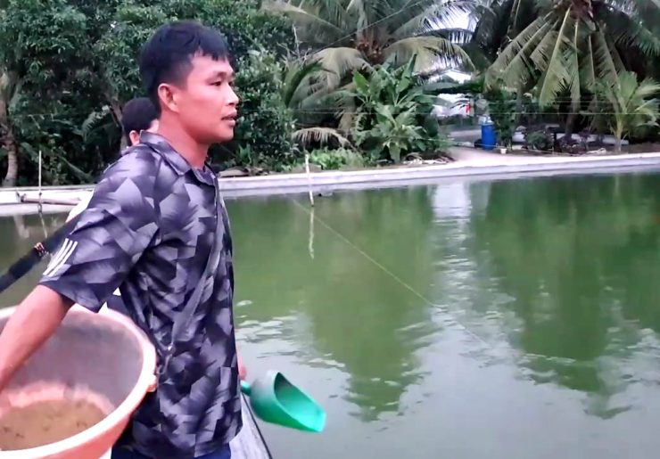 Ngô Đức Tuyền, xã Mỹ Hạnh Đông, tỉnh Đồng Tháp (địa phận huyện Cai Lậy, tỉnh Tiền Giang trước đây)và ao nuôi cá lăng nha đuôi đỏ bố mẹ. Ảnh: T.Đ