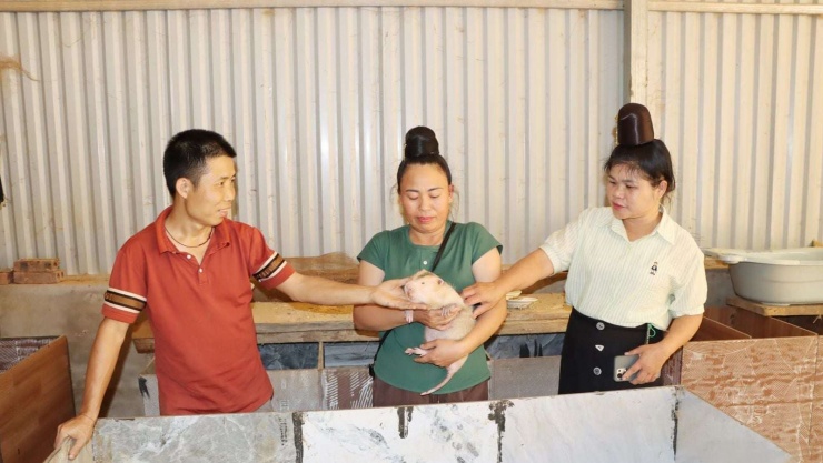 Mô hình nuôi dúi của gia đình anh&nbsp;gia đình anh Lèo Văn Bưởi, bản Mé, xã Mường Chanh, tỉnh Sơn La. Ảnh: Nguyễn Thư.