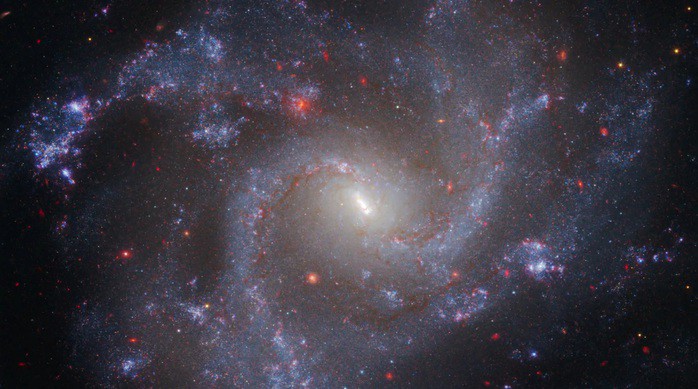 NGC 5468, một trong hằng hà sa số các thiên hà được quan sát bởi DES và DESI, giúp tính toán tuổi thọ thực sự của vũ trụ - Ảnh: NASA/ESA/CSA/STScl