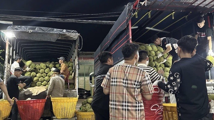 Thương lái thu mua cầm chừng, trì hoãn giao dịch với lý do khó xuất khẩu và lo ngại dư lượng cadimi.