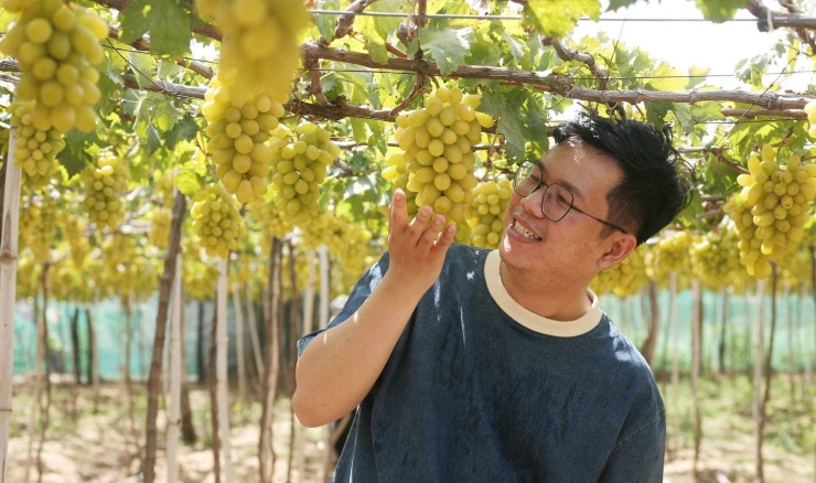 Du khách tham quan vườn nho Ba Mọi, xã Ninh Phước, tỉnh Khánh Hòa. Ảnh: Thái Sơn Ngọc