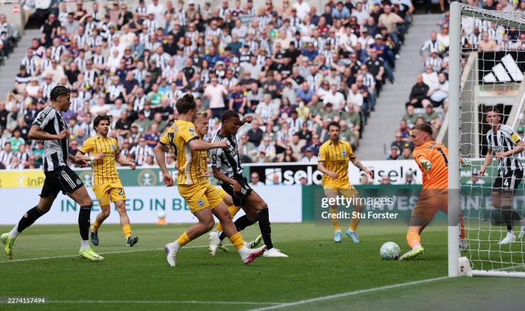 Trực tiếp bóng đá Newcastle - Brighton: Barnes ấn định (Ngoại hạng Anh) (Hết giờ) - 3