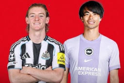 Trực tiếp bóng đá Newcastle - Brighton: Chiến đấu vì tham vọng lấy vé Cúp C1 (Ngoại hạng Anh)