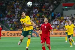 Tuyển Việt Nam tranh cúp Đông Nam Á với Australia?