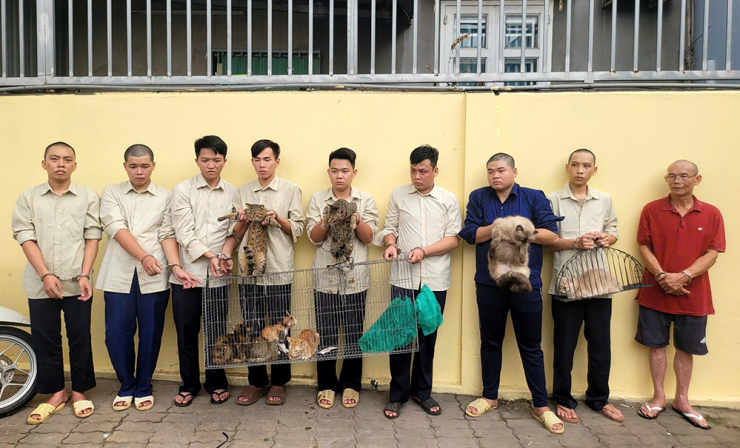 Các vụ trộm vật nuôi được xử lý như trọng án, truy xét đến cùng. Ảnh: CA