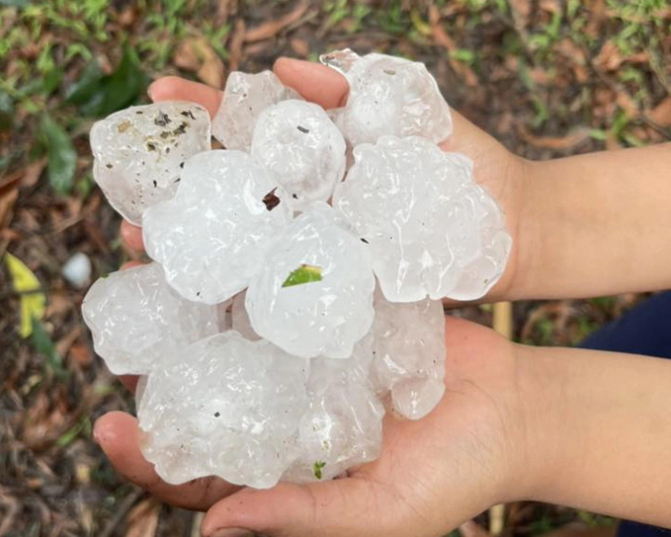 Mưa đá tại xã Thành Bình Thọ. Người dân nhặt thành từng chậu lớn. Ảnh: Th.Trà
