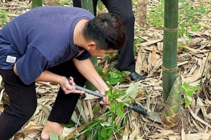 Nông dân xã Long Thuận, tỉnh Tây Ninh trồng cây gì mà giàu có hẳn lên, có bộ sưu tập "bảng vàng" đáng nể phục?