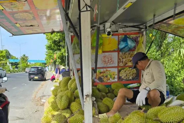 Sầu riêng ‘rẻ như bèo’ bán đầy vỉa hè