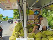 Sầu riêng ‘rẻ như bèo’ bán đầy vỉa hè