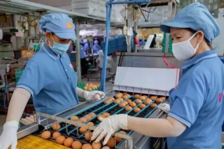 ‘Nghẹt thở’ vay vốn ngân hàng