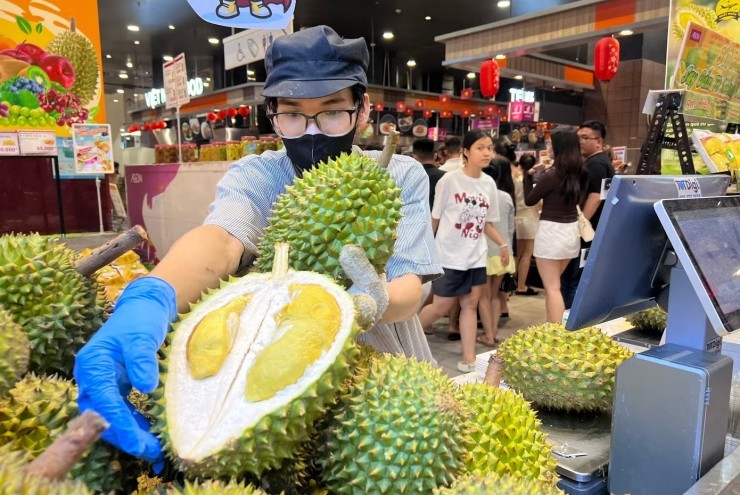 Vì sao giá sầu riêng chỗ đắt đỏ, nơi lao dốc?