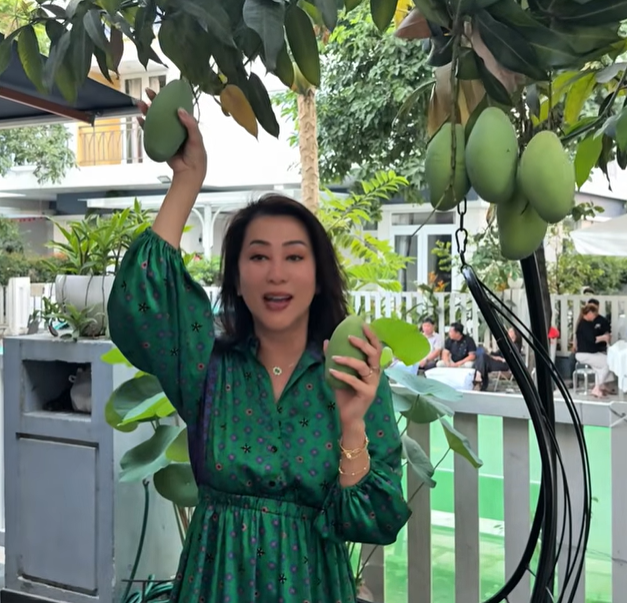MC Nguyễn Cao Kỳ Duyên hái xoài ở nhà ca sĩ Mạnh Cương. Ảnh: Cắt từ clip