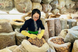 Lương Y Nguyễn Thị Thái và bài thuốc gia truyền chữa bệnh mạn tính