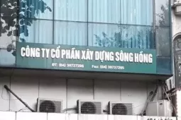Lý do doanh nghiệp chia cổ tức kỷ lục