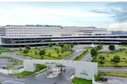 Ngân hàng không duyệt các khoản vay dự án Bệnh viện Bạch Mai, Việt Đức cơ sở 2