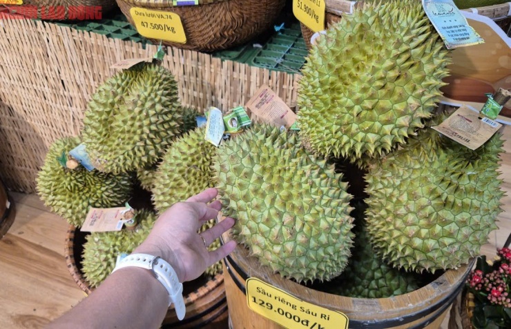 Sầu riêng vô mùa chính, giá Ri 6 ở siêu thị vẫn 129.000 đồng/kg