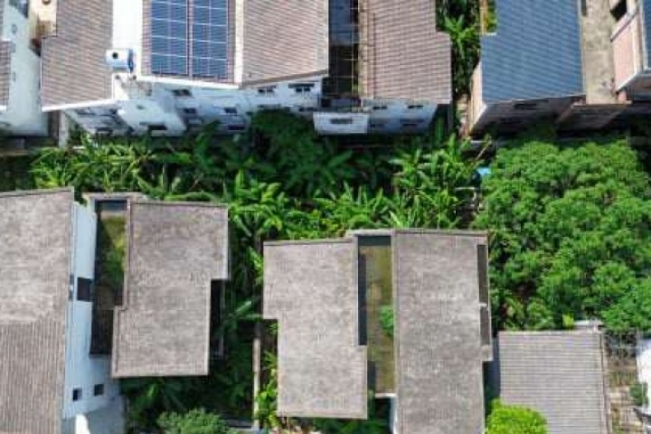 Xót xa những khối tài sản hàng chục tỷ đồng bị bỏ hoang, đứng chen cùng chuối um tùm ở cửa ngõ Hà Nội