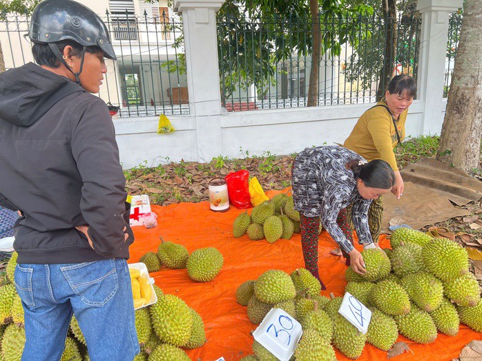 Nhà vườn mang sầu riêng ra vỉa hè bán nhằm gỡ lại vốn