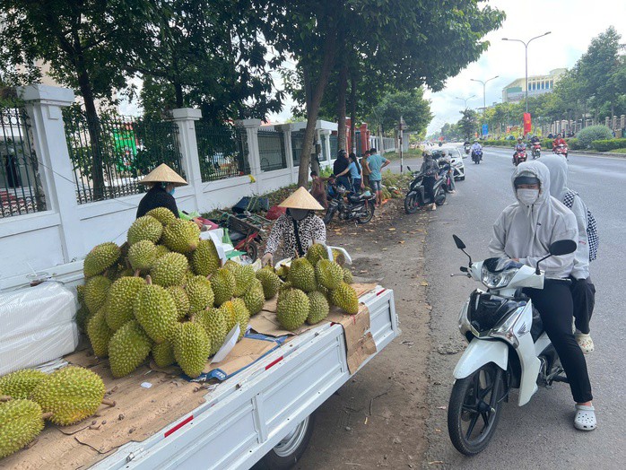 Hình ảnh nhà vườn ở Cần Thơ "ồ ạt " ra vỉa hè bán sầu riêng giá rẻ bèo - 4