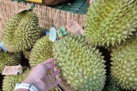 Giá sầu riêng tại vườn “chạm đáy”, vì sao giá bán lẻ vẫn cao?
