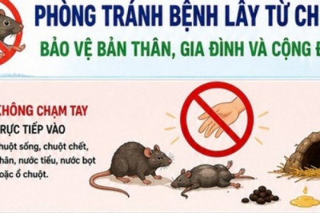 [Infographic] 5 khuyến cáo phòng bệnh virus Hanta