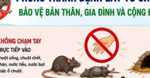 [Infographic] 5 khuyến cáo phòng bệnh virus Hanta