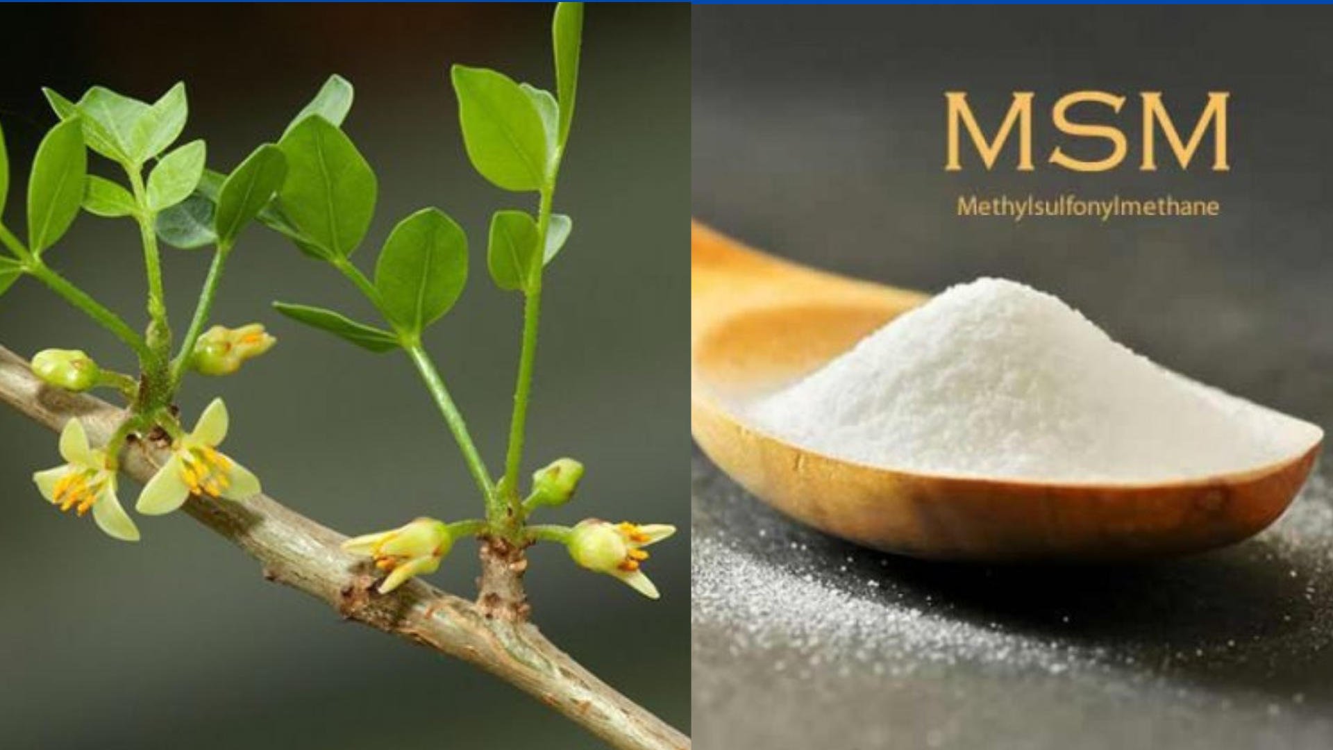 5 thói quen tàn phá xương khớp cực nhanh, nên bỏ càng sớm càng tốt - 4