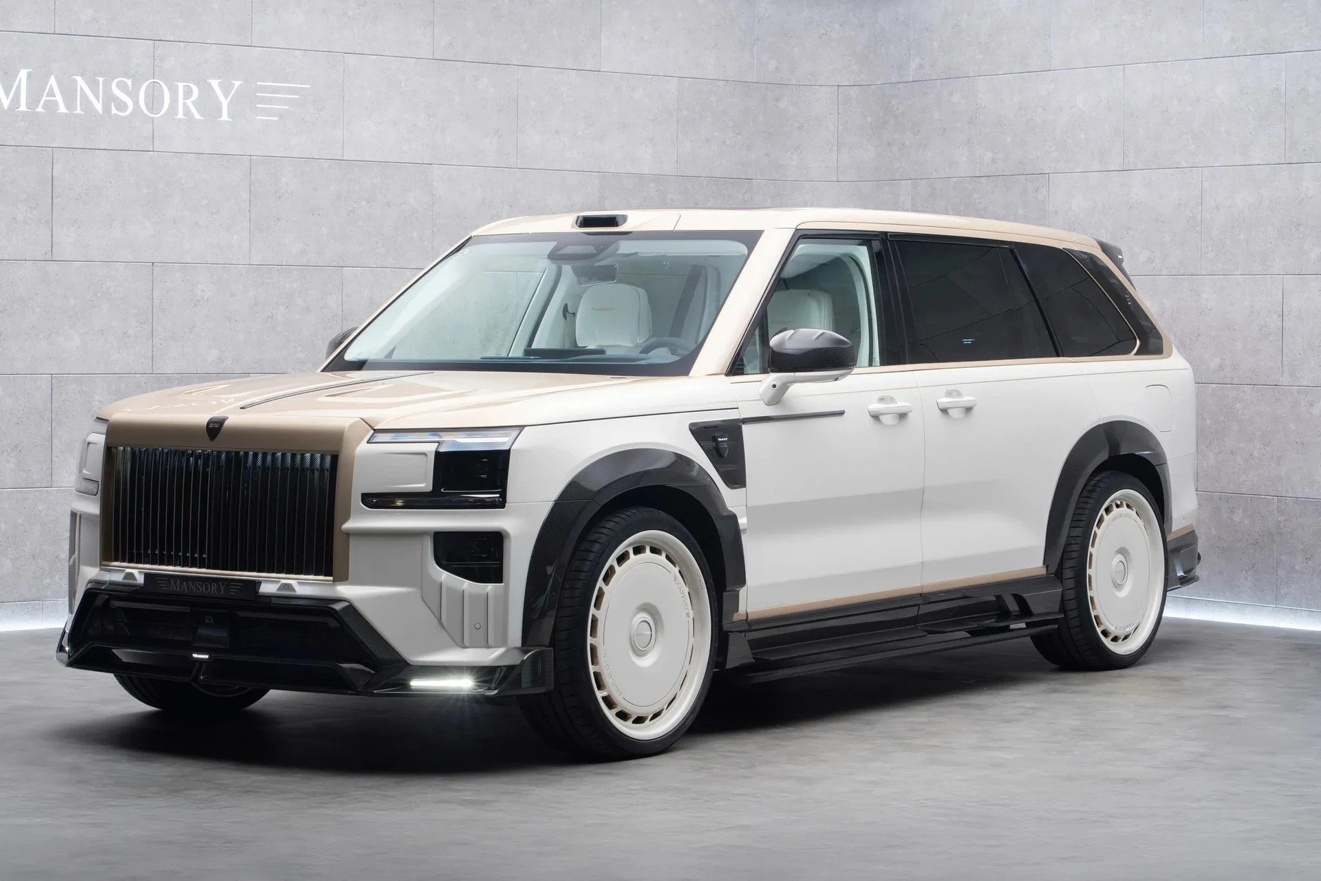 Mẫu xe được chọn là Zeekr 9X, chiếc SUV hybrid thay đổi nhờ vào gói độ Mansory.
