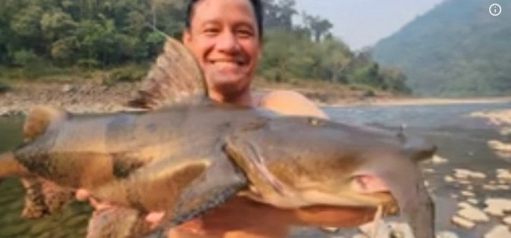 Một cá chiên “khủng” trúng lưới ngư dân