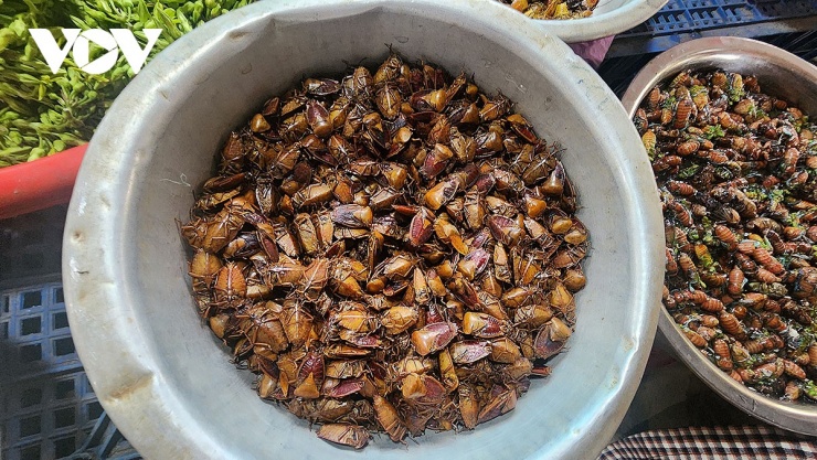Mùa này mặt hàng nhiều nhất là bọ xít và ve sầu non.&nbsp;Bọ xít có giá từ 50-60.000đ/kg.