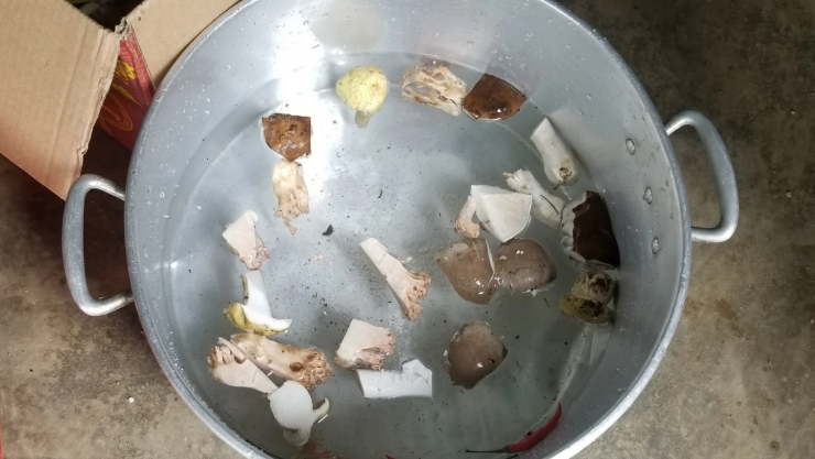 Chi cục An toàn vệ sinh thực phẩm tỉnh Sơn La khuyến cáo, người dân không nên ăn nấm lạ. Ảnh minh họa