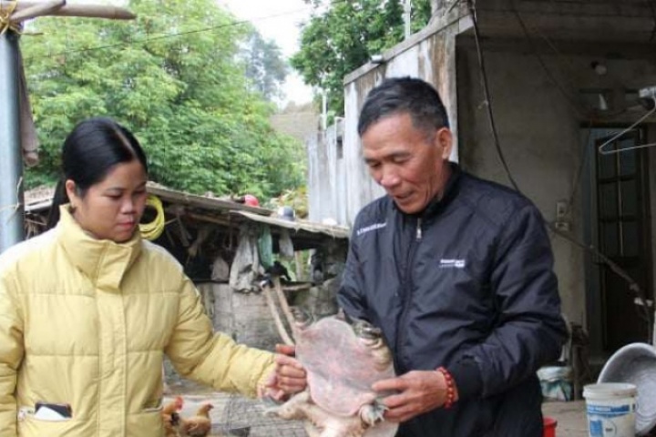 Con đặc sản kích thước lớn này nuôi thành công ở Lạng Sơn, ông Bắt có cơ ngơi tiền tỷ, bê một con lên cả làng trầm trồ