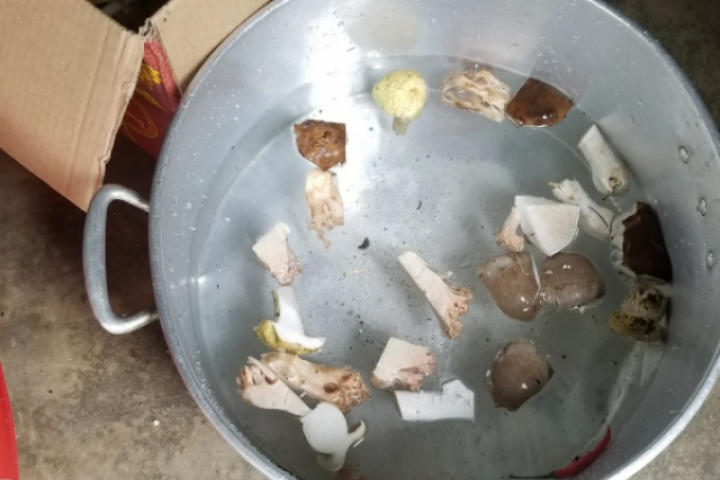 Sơn La: Ăn canh nấm rừng nghi ngộ độc, 1 người tử vong, nhiều người nhập viện