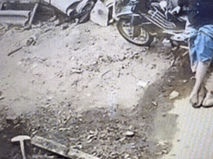 12 người ở một phường bị chó nghi mắc bệnh dại cắn