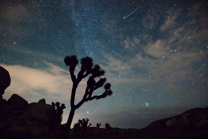 Mưa sao băng rơi xuống Vườn Quốc gia Joshua Tree ở Mỹ - Ảnh: NASA