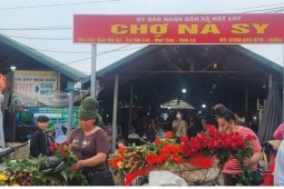 Độc đáo chợ côn trùng Nà Si:Món lạ níu chân du khách đến với Tây Bắc