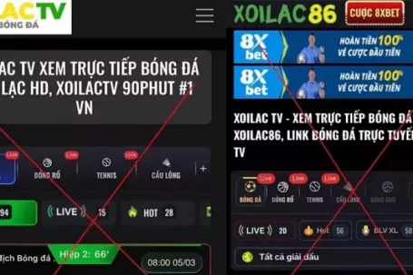 Thủ tướng yêu cầu triệt phá website phim, nhạc, game lậu