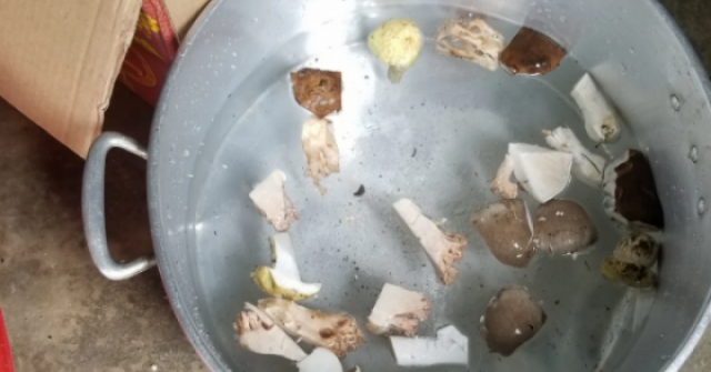 Sơn La: Ăn canh nấm rừng nghi ngộ độc, 1 người tử vong, nhiều người nhập viện