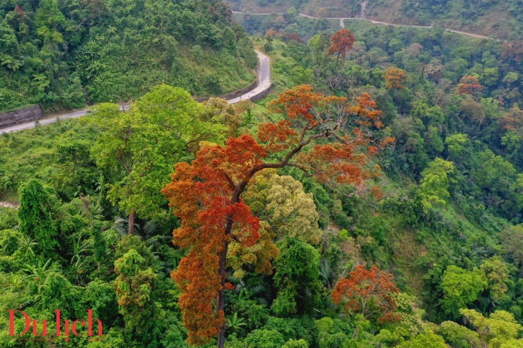 Cung đường Trường Sơn Đông đẹp như mơ vào mùa hoa nở - 3