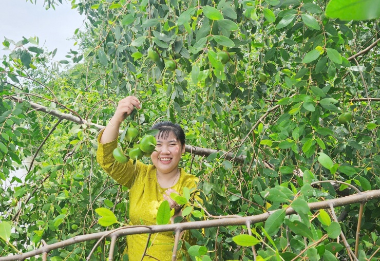 Trái bần và những món ngon không thể cưỡng lại được khi vị chua của loại trái này hòa quyện cùng các loại thực phẩm khác.