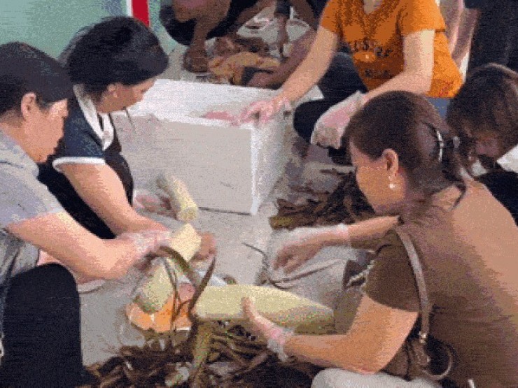 Gia đình 39 người ở Bắc Ninh đem bánh chưng, gà luộc, 20kg hoa quả đi du lịch