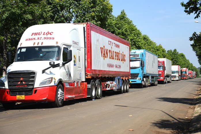 Hàng trăm container sầu riêng chờ kiểm định quanh bến xe Dầu Giây. Ảnh: Nguyễn Tuấn