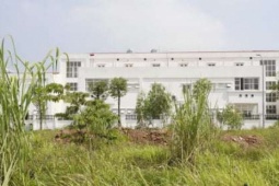 Khu đất đấu giá từng gây sốc ở Hà Nội sau gần 2 năm: Biển quảng cáo mất hút, cỏ mọc lút đầu người
