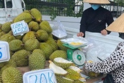 Doanh nghiệp và người trồng sầu riêng "đứng ngồi không yên"