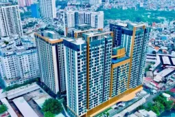 Bất ngờ lý do nhiều chủ đầu tư buộc phải làm căn hộ diện tích lớn