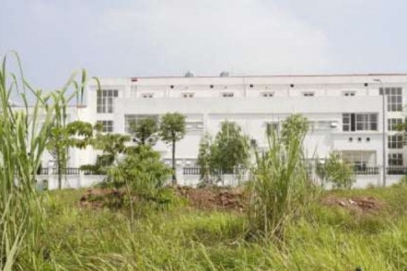 Khu đất đấu giá từng gây sốc ở Hà Nội sau gần 2 năm: Biển quảng cáo mất hút, cỏ mọc lút đầu người